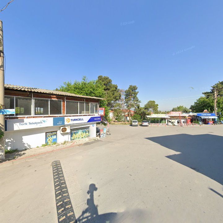 Fotoğraf 11