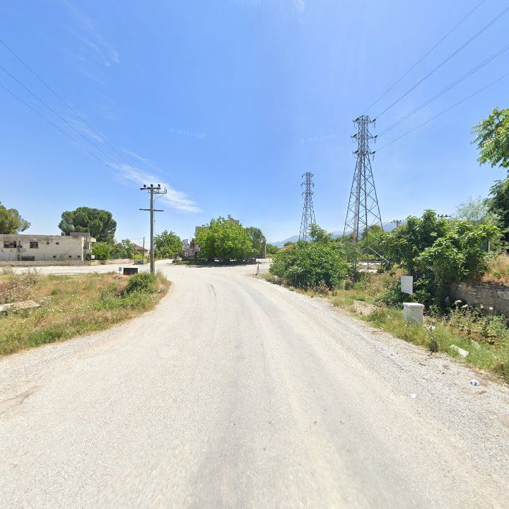 Fotoğraf 14