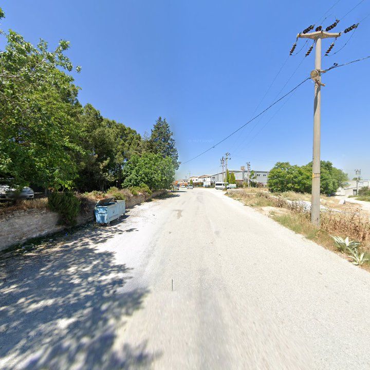 Fotoğraf 12