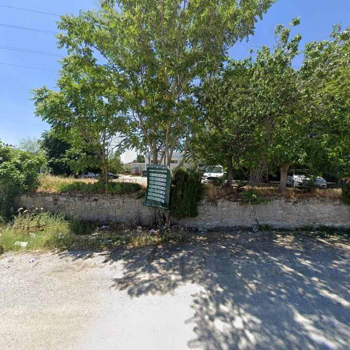 Fotoğraf 11