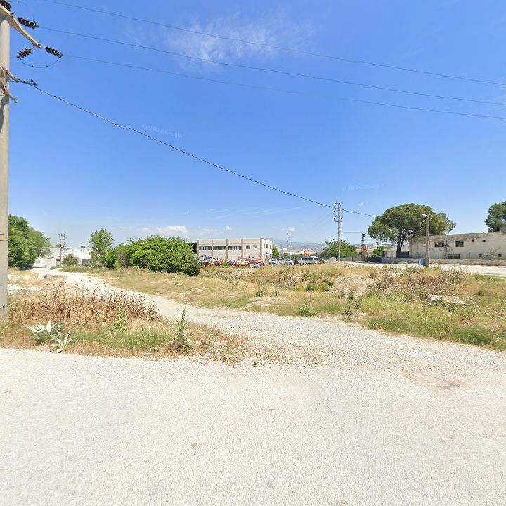 Fotoğraf 13