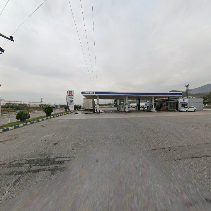 Fotoğraf 11