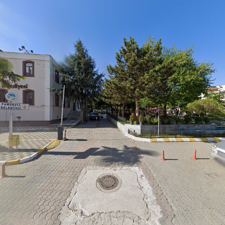 Fotoğraf 7