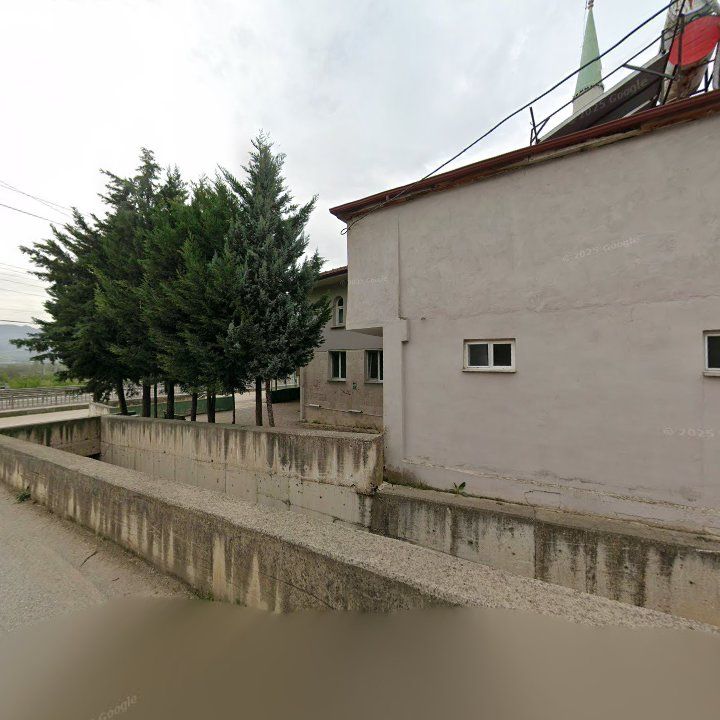 Fotoğraf 8