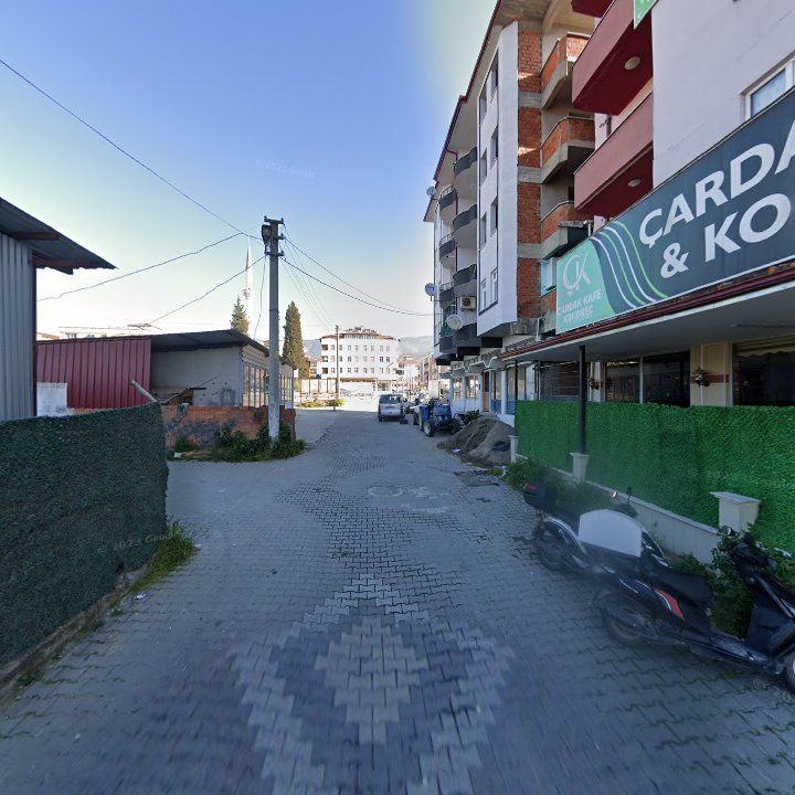 Fotoğraf 8