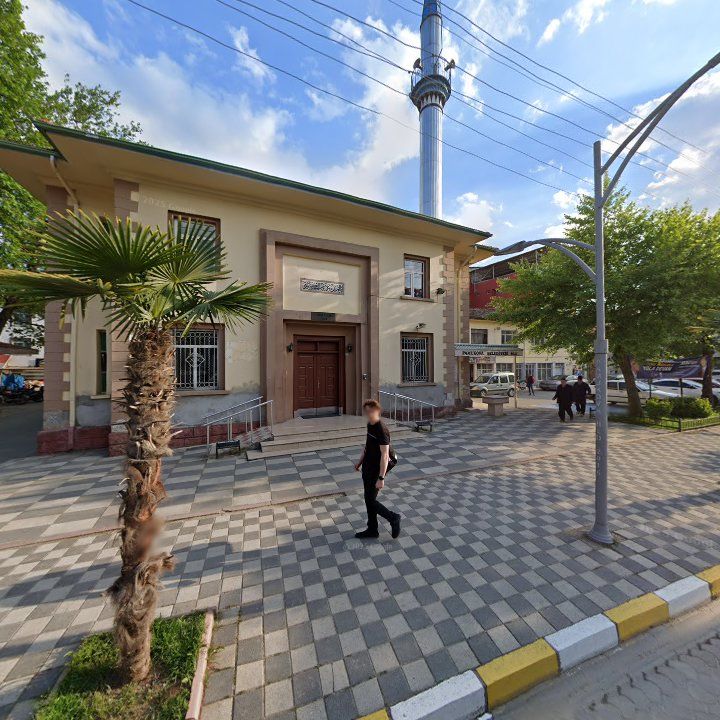 Fotoğraf 8