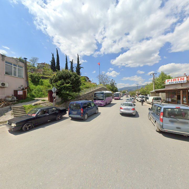 Fotoğraf 7