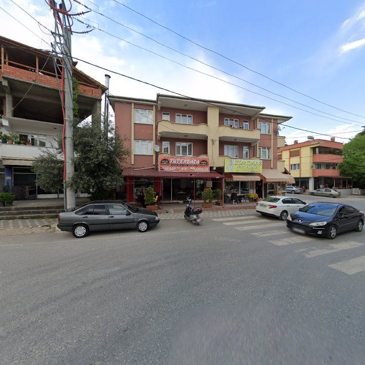Fotoğraf 7