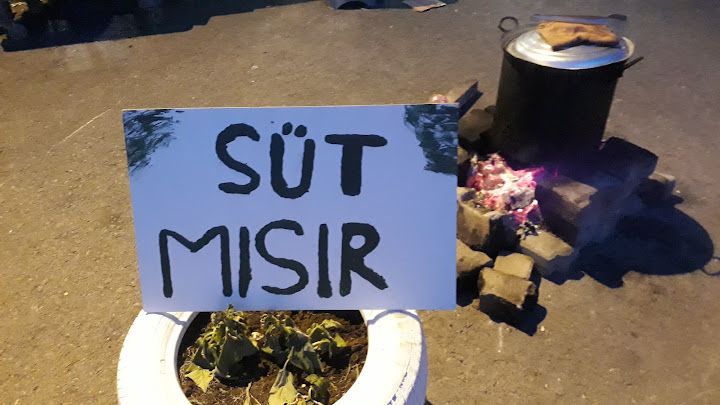 Fotoğraf 14