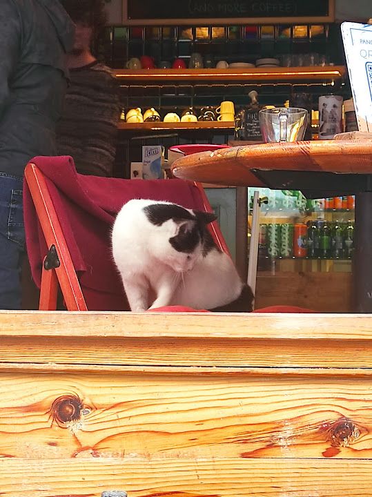 Yorum fotoğrafı 4