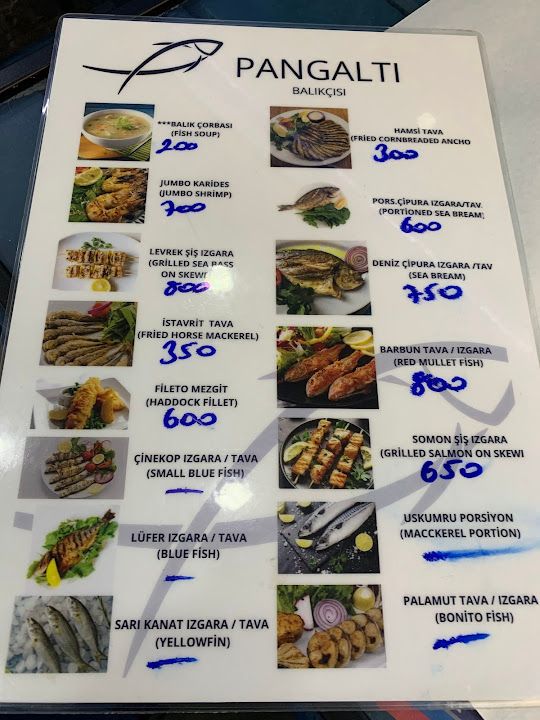 Fotoğraf 23