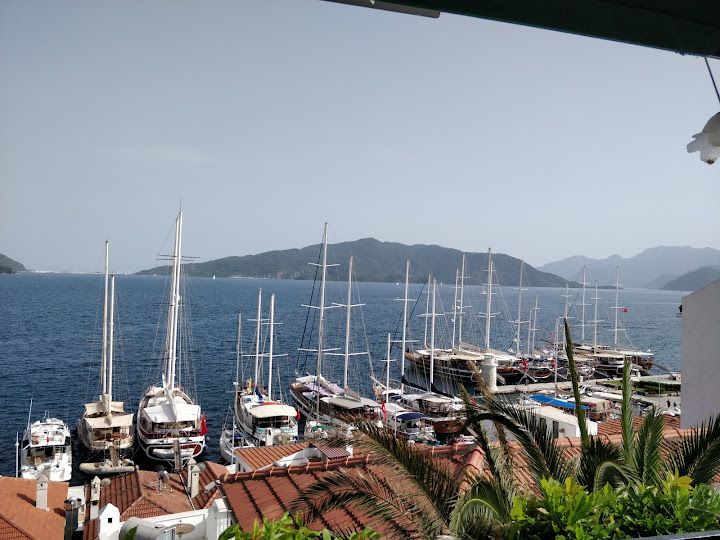 Fotoğraf 50