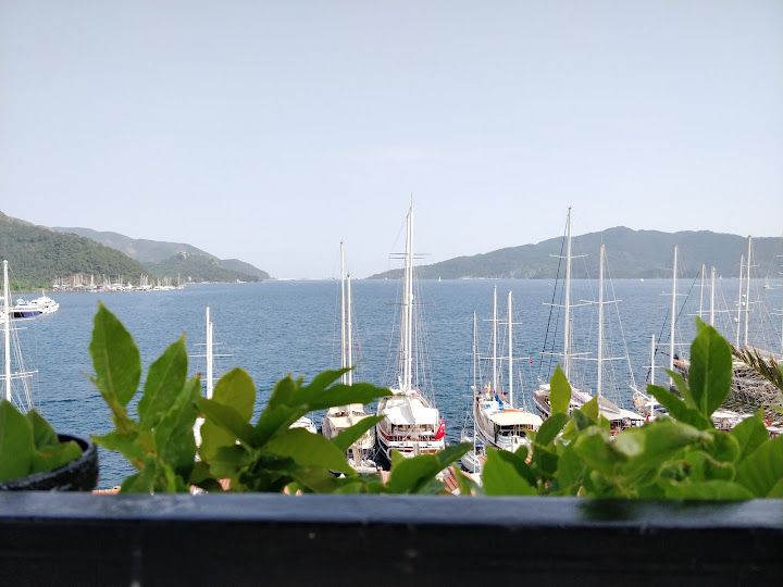 Fotoğraf 49