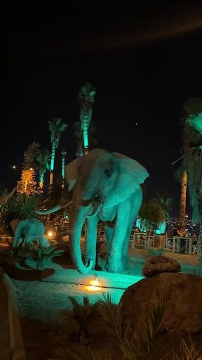 Yorum fotoğrafı 5