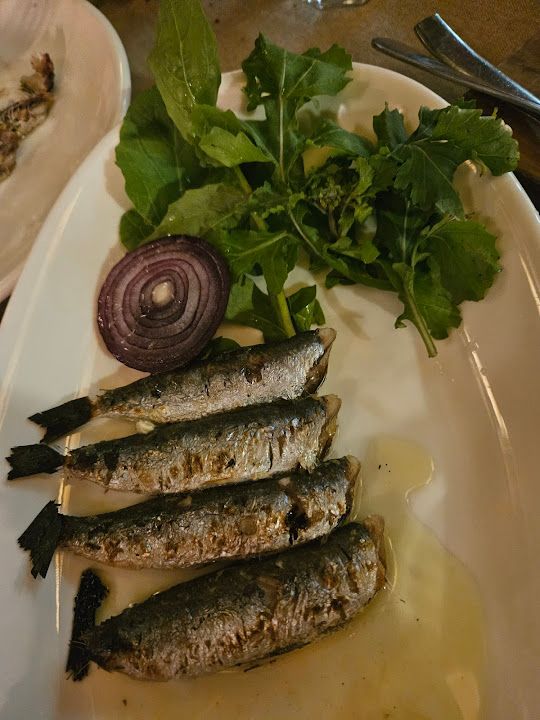 Fotoğraf 40