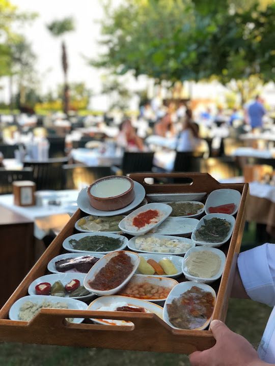 Fotoğraf 46