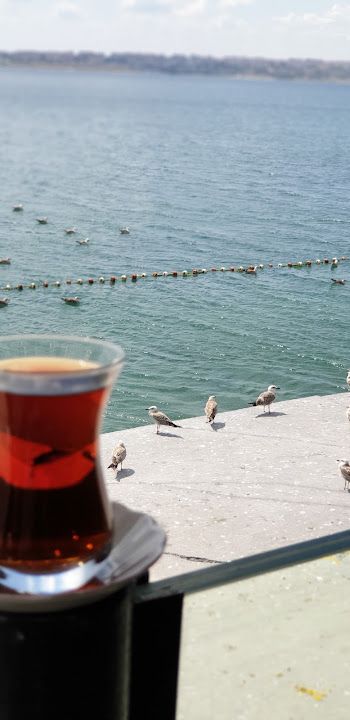 Fotoğraf 51