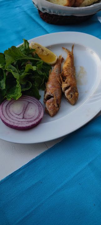 Fotoğraf 23