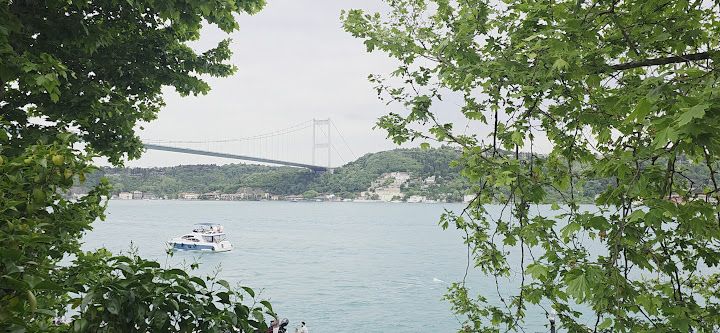 Fotoğraf 33