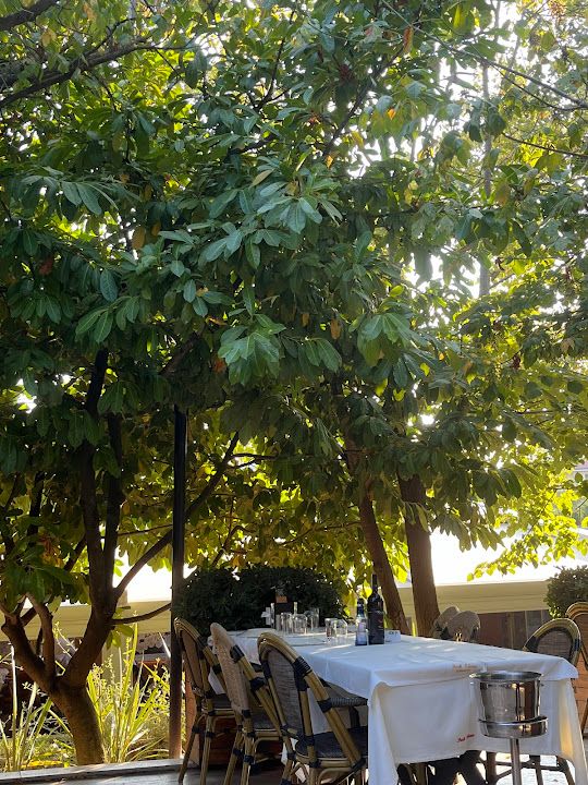 Yorum fotoğrafı 4
