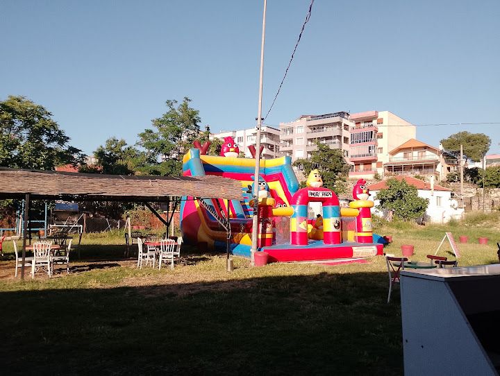 Fotoğraf 12