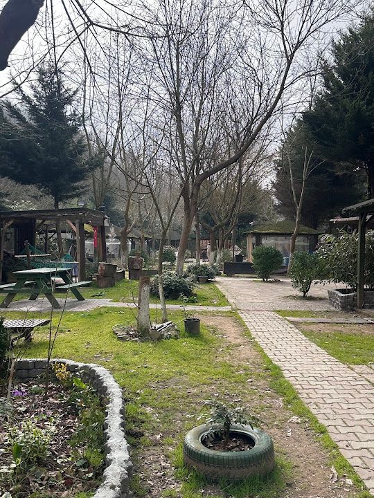 Yorum fotoğrafı 1