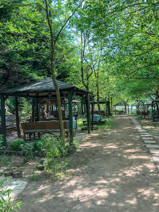 Fotoğraf 17