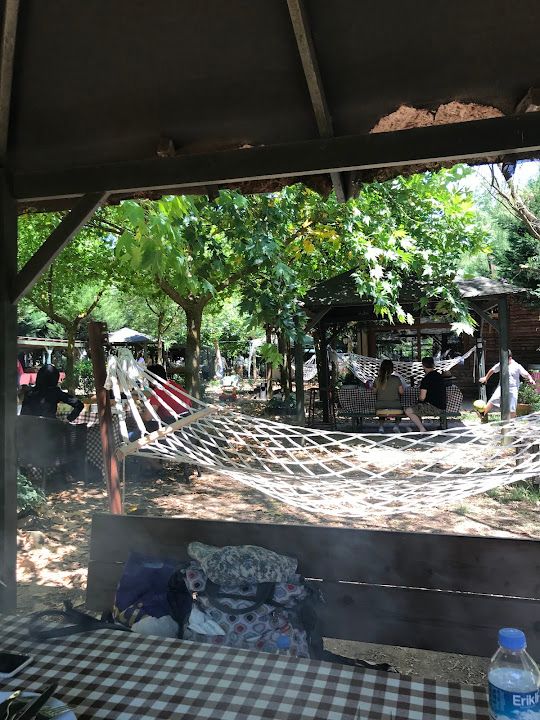 Fotoğraf 66