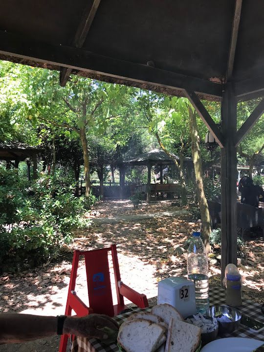 Fotoğraf 30