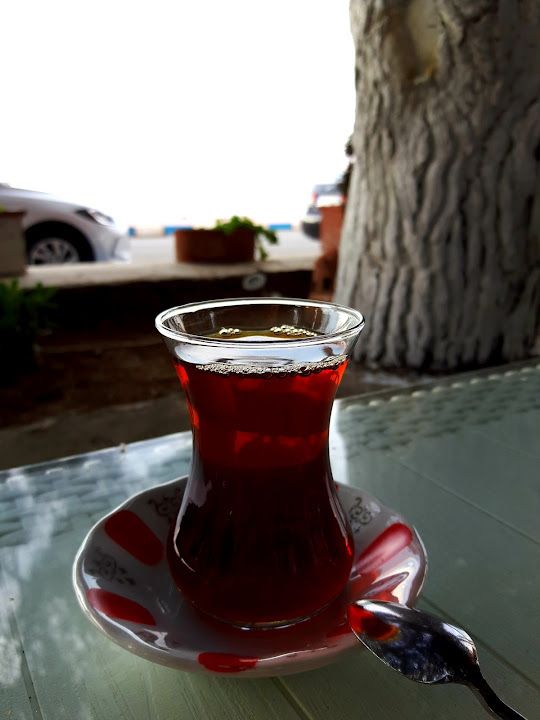 Fotoğraf 48