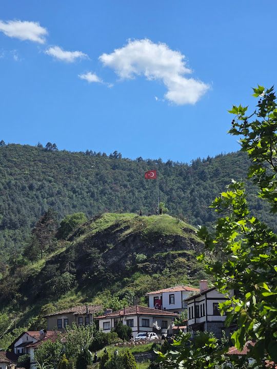 Fotoğraf 31