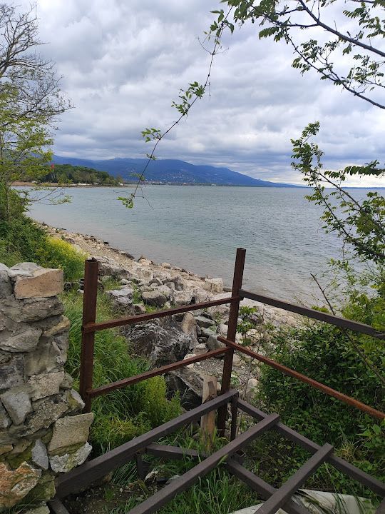 Fotoğraf 13