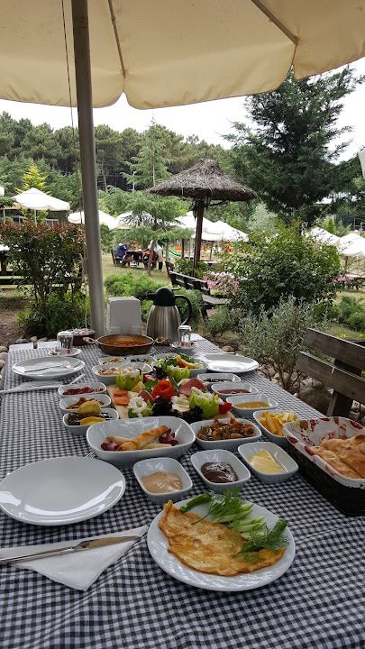 Fotoğraf 31