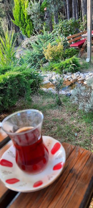 Fotoğraf 39
