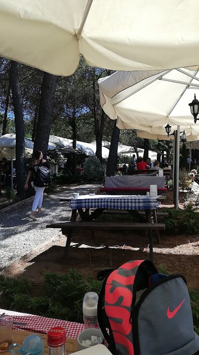 Fotoğraf 18