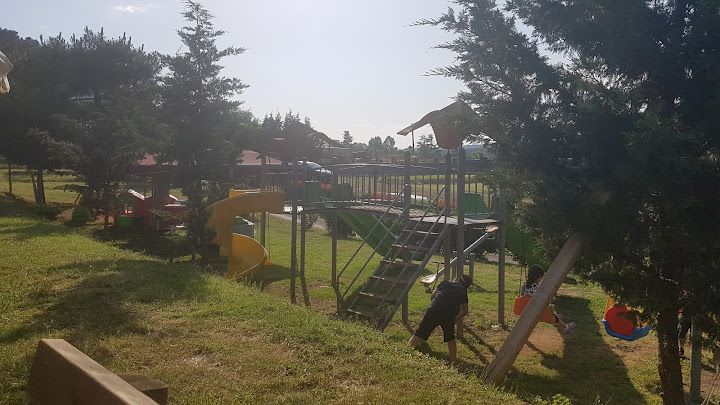 Fotoğraf 21