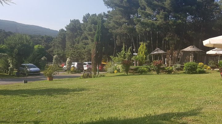 Fotoğraf 20