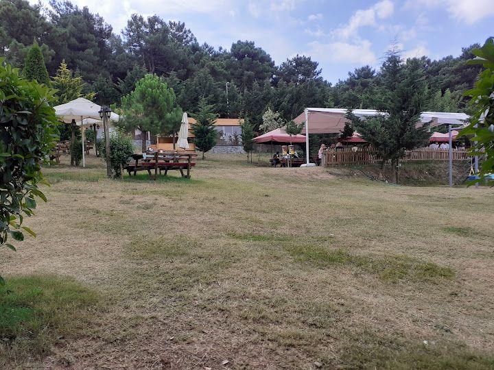 Fotoğraf 55