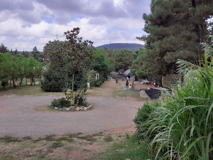 Fotoğraf 54
