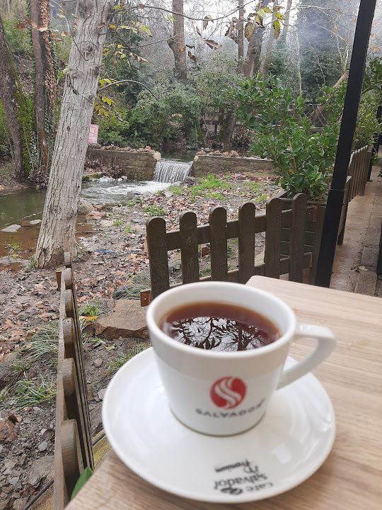 Fotoğraf 40