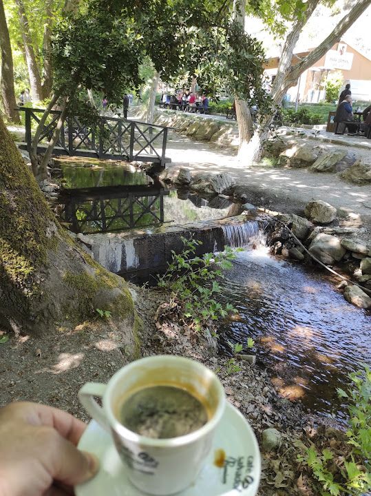 Fotoğraf 39