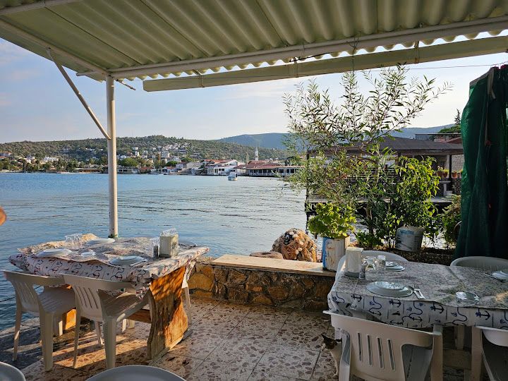 Fotoğraf 33