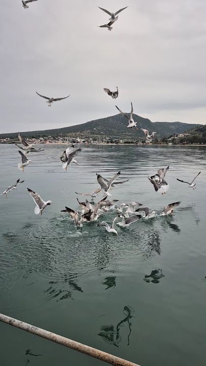 Fotoğraf 34