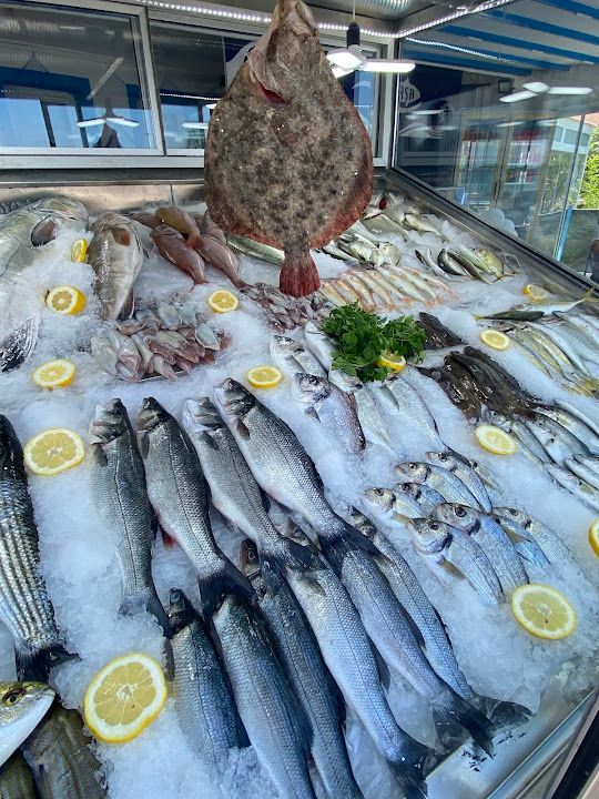 Fotoğraf 33