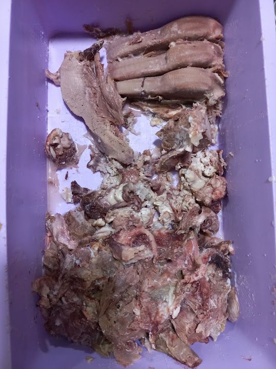Fotoğraf 20