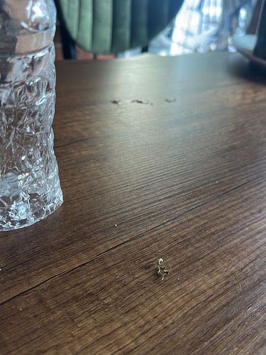 Fotoğraf 15