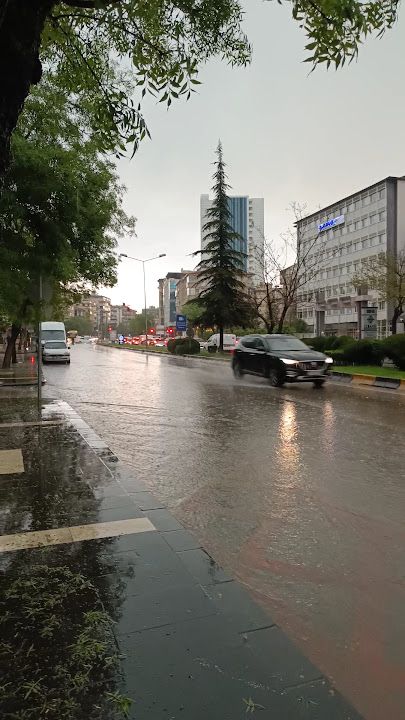 Fotoğraf 14
