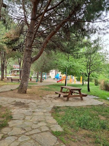 Fotoğraf 17