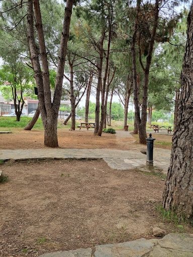 Fotoğraf 18