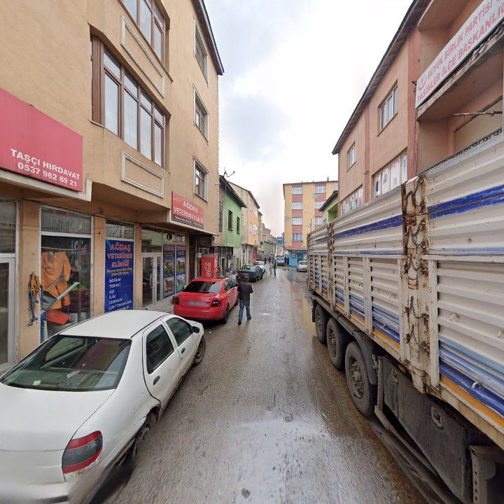 Fotoğraf 5